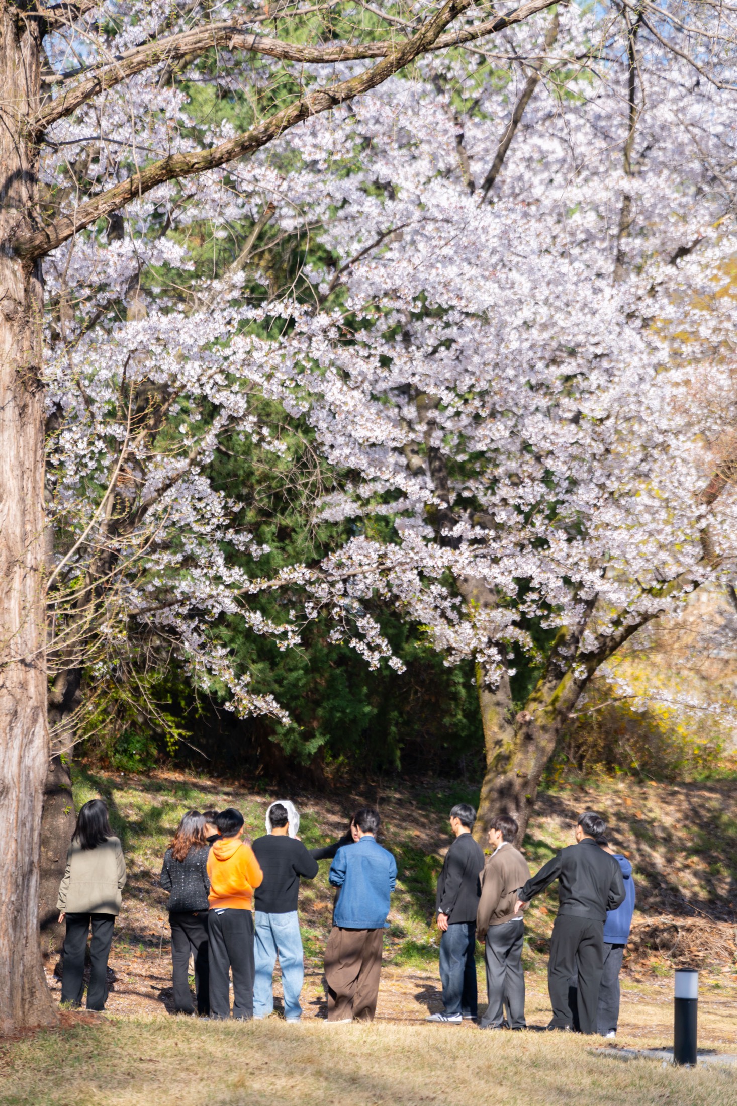바다가 주는 회복의 힘, 해양치유